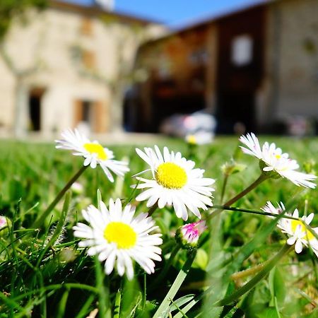La Ferme Des Denis Chambres Dhotes Chanos-Curson ภายนอก รูปภาพ